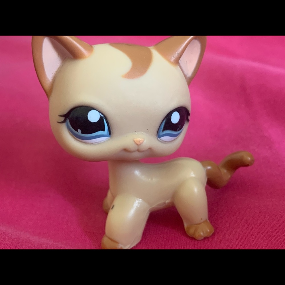 Little pet shop
